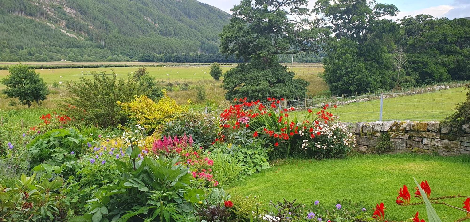 Clachan Farmhouse B & B Ullapool Ngoại thất bức ảnh